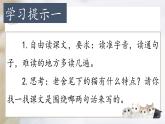 （結合語文作業(yè)本設計）統(tǒng)編版小學語文四年級下冊13.貓課件兩課時
