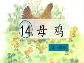 （結合語文作業(yè)本設計）統(tǒng)編版小學語文四年級下冊14.母雞課件兩課時