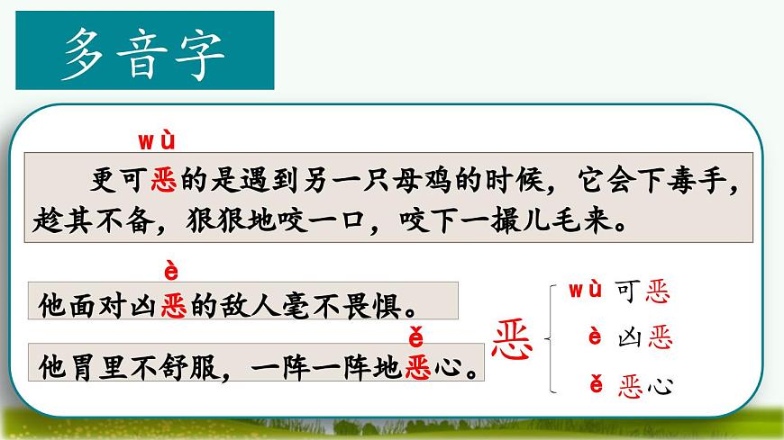 （结合语文作业本设计）统编版小学语文四年级下册14.母鸡课件两课时第5页