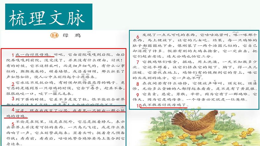 （结合语文作业本设计）统编版小学语文四年级下册14.母鸡课件两课时第7页