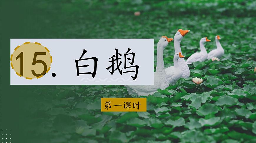 （结合语文作业本设计）统编版小学语文四年级下册15.白鹅课件两课时第3页