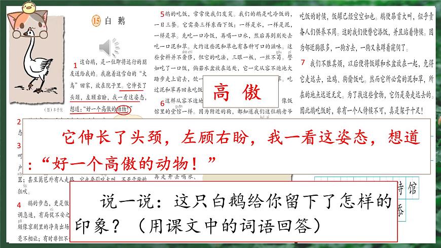 （结合语文作业本设计）统编版小学语文四年级下册15.白鹅课件两课时第8页