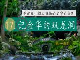 （結合語文作業(yè)本設計）統(tǒng)編版小學語文四年級下冊17.記金華的雙龍洞課件兩課時