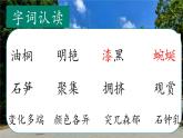 （結合語文作業(yè)本設計）統(tǒng)編版小學語文四年級下冊17.記金華的雙龍洞課件兩課時