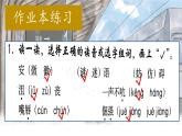 （結(jié)合語文作業(yè)本設(shè)計）統(tǒng)編版小學(xué)語文四年級下冊20.我們家的男子漢課件一課時