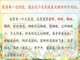 （結(jié)合語(yǔ)文   作業(yè)本設(shè)計(jì)）統(tǒng)編版小學(xué)語(yǔ)文五年級(jí)下冊(cè)2.祖父的園子課件兩課時(shí)