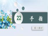 （結(jié)合語文   作業(yè)本設(shè)計）統(tǒng)編版小學(xué)語文五年級下冊22.手指課件兩課時