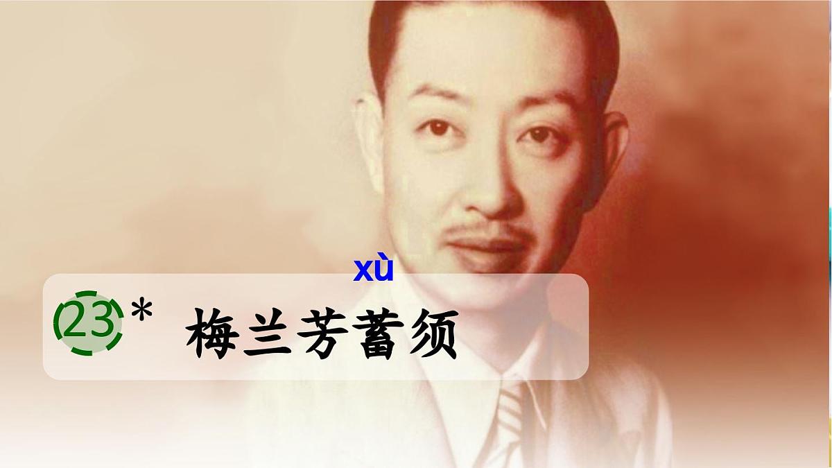 23.梅兰芳蓄须课件 统编版语文四年级上册第2页