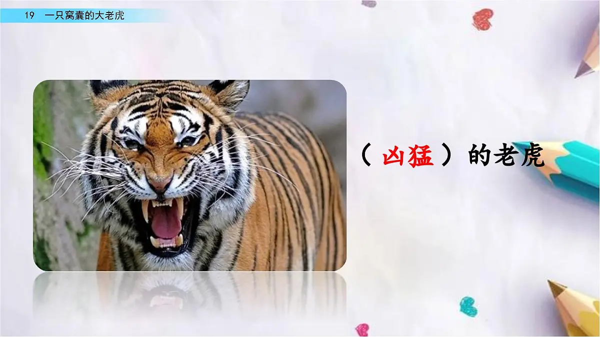 19.一只窝囊的大老虎课件 统编版语文四年级上册第2页