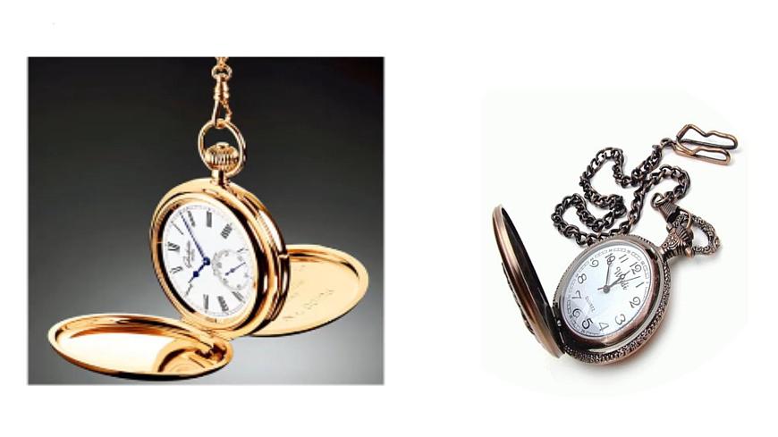 【教学评一体化设计】统编版小学语文六年级下册16.表里的生物课件两课时第2页