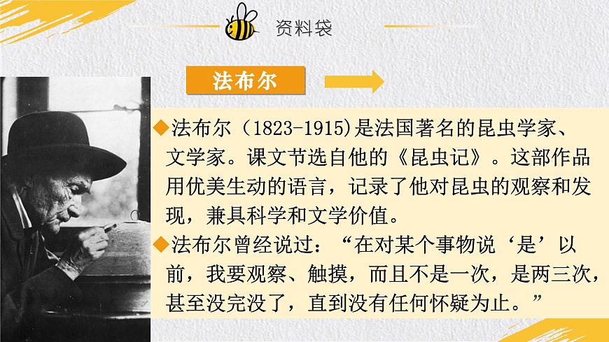 14.《蜜蜂》第3页