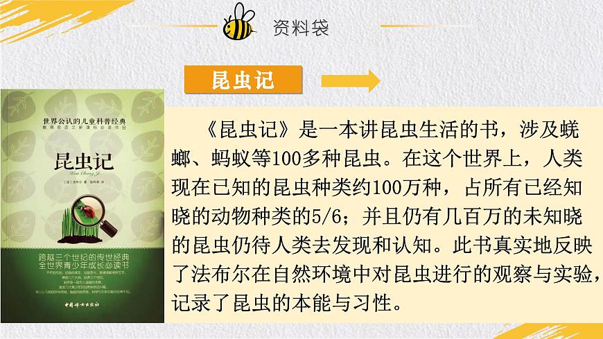 14.《蜜蜂》第4页