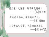 【教學評一體化設計】統(tǒng)編版小學語文三年級下冊3.荷花課件兩課時