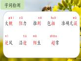 【教学评一体化设计】统编版小学语文三年级下册14.蜜蜂课件两课时