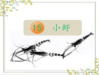 统编版（2024）三年级下册小虾完美版教学课件ppt
