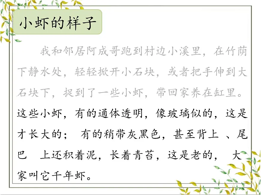 【教学评一体化设计】统编版小学语文三年级下册15.小虾课件一课时第6页