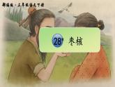 【教学评一体化设计】统编版小学语文三年级下册28.枣核课件一课时