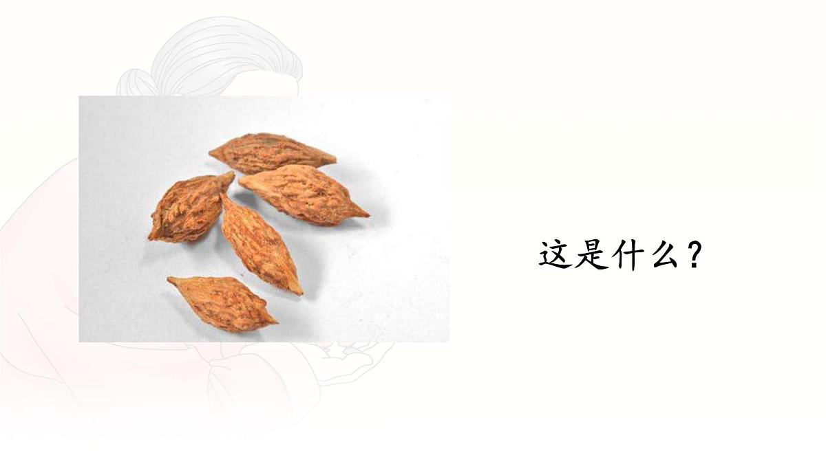 统编版三年级语文下册课件《28 枣核》第4页