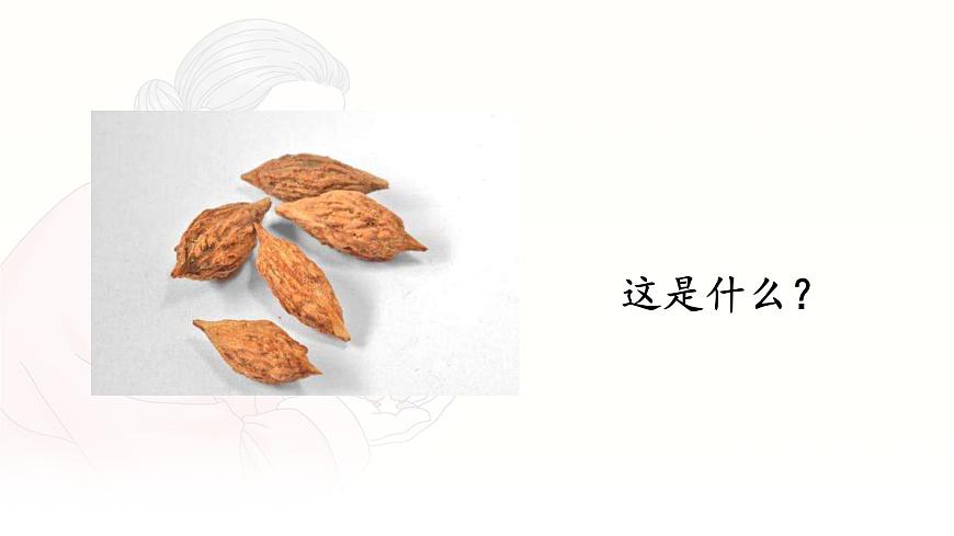 统编版三年级语文下册课件《28 枣核》第4页