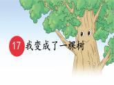 统编版三年级语文下册课件《17 我变成了一棵树》