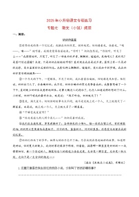 【复习篇】专项七 散文（小说）阅读-2025年小升初语文专项练习