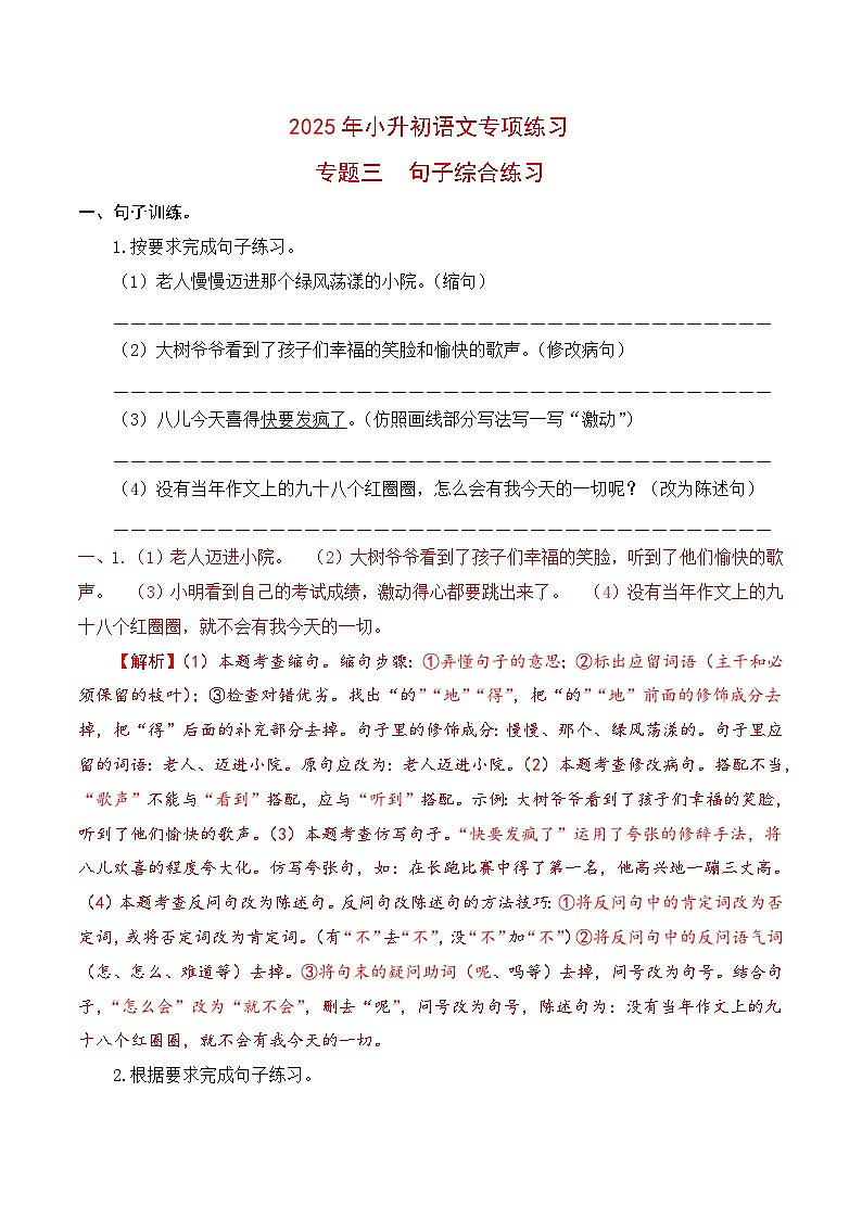 【复习篇】专项三 句子综合练习-2025年小升初语文专项练习 （解析版）第1页