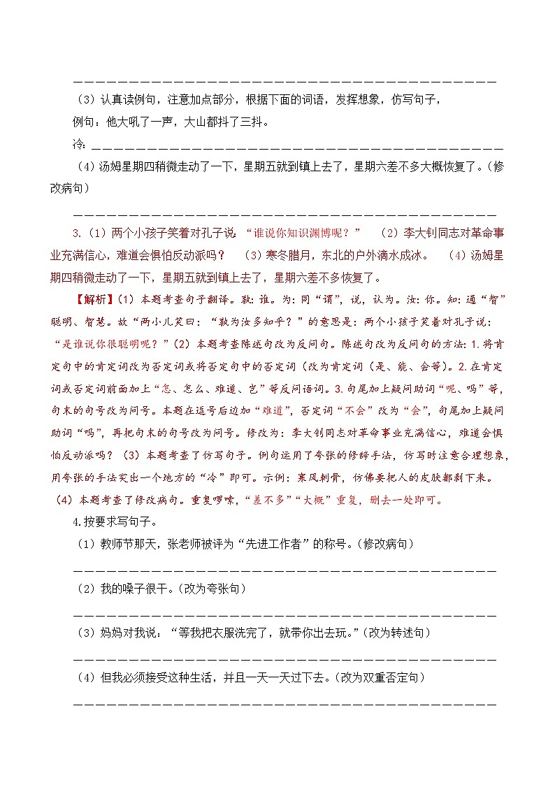【复习篇】专项三 句子综合练习-2025年小升初语文专项练习 （解析版）第3页