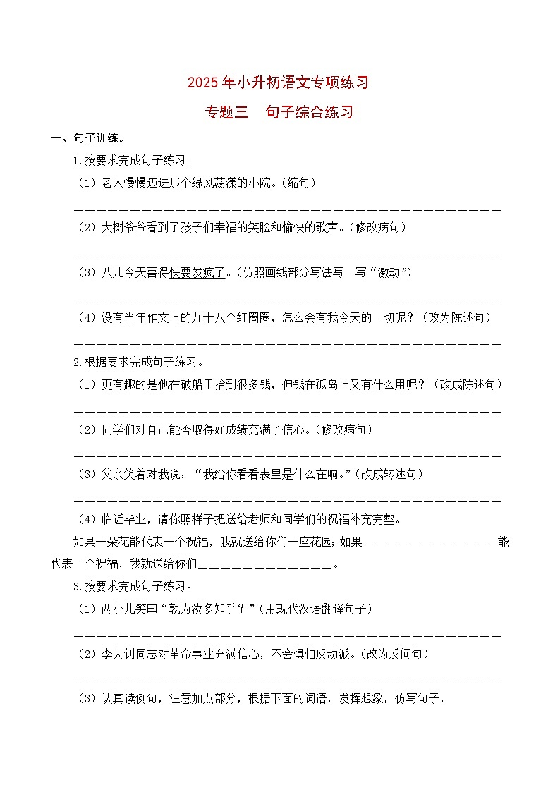 【复习篇】专项三 句子综合练习-2025年小升初语文专项练习 （原卷版）第1页