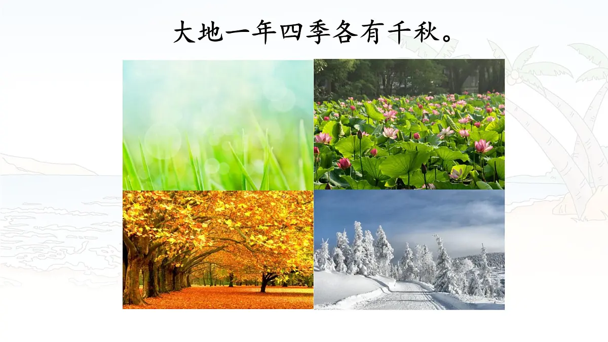 统编版三年级语文下册课件《22 我们奇妙的世界》第8页