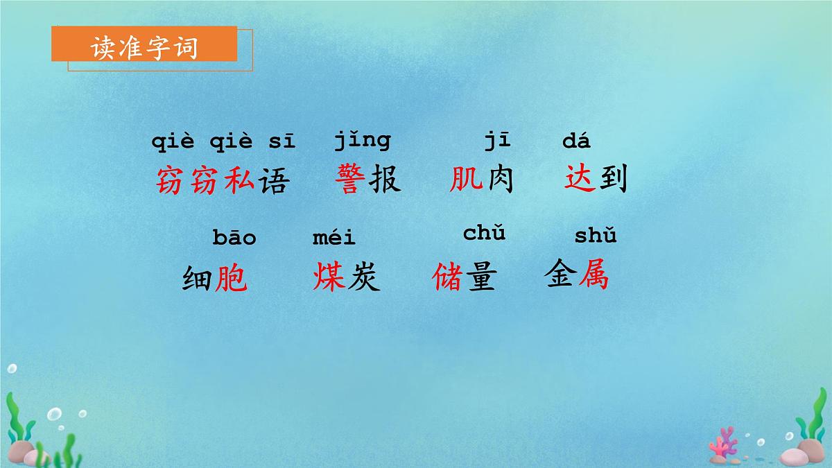 统编版语文三年级下册第23课《海底世界》课件第4页