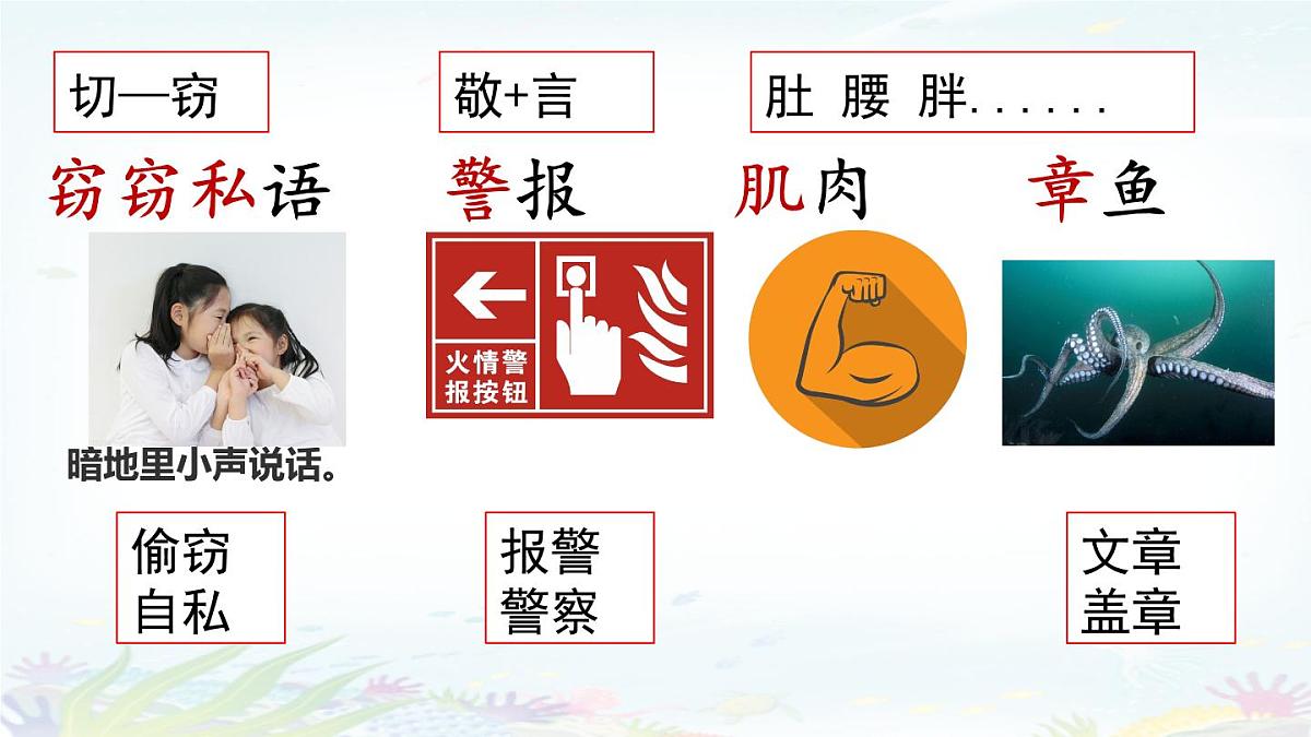 统编版三年级语文下册教学课件《23 海底世界》第5页