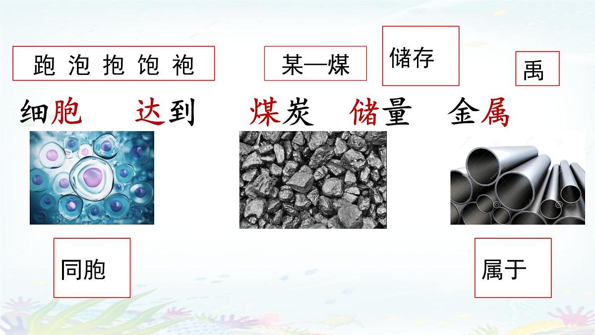 统编版三年级语文下册教学课件《23 海底世界》第6页