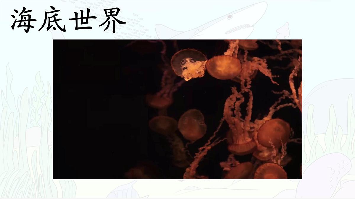 统编版三年级语文下册《23 海底世界》课件第2页