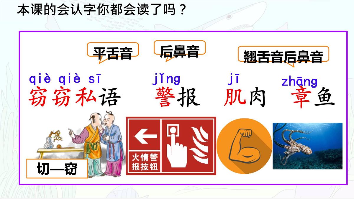 统编版三年级语文下册《23 海底世界》课件第7页