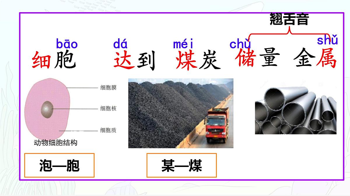 统编版三年级语文下册《23 海底世界》课件第8页