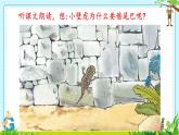 20.小壁虎借尾巴 教學課件-2024-2025學年語文一年級下冊統(tǒng)編版