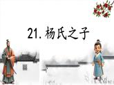 21 杨氏之子 教学课件2024-2025学年语文五年级下册统编版