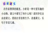 统编版三年级语文下册课件《15 小虾》