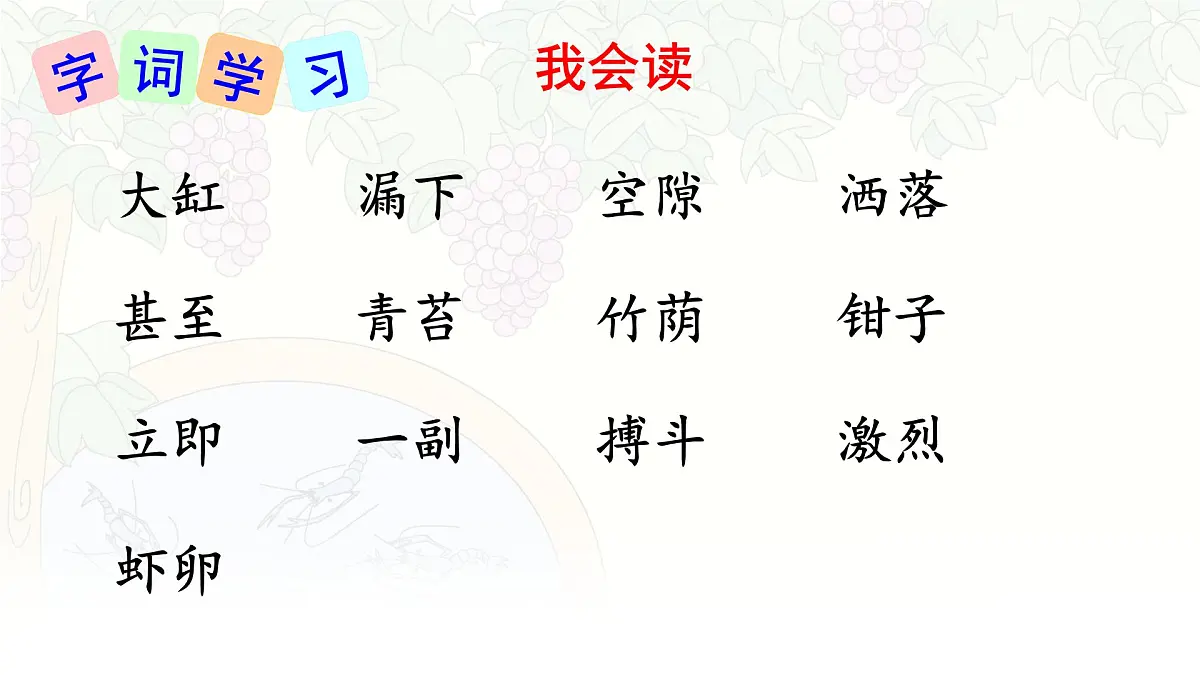 统编版三年级语文下册课件《15 小虾》第6页