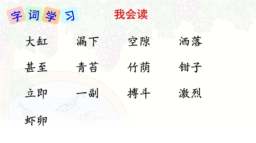 统编版三年级语文下册课件《15 小虾》第6页