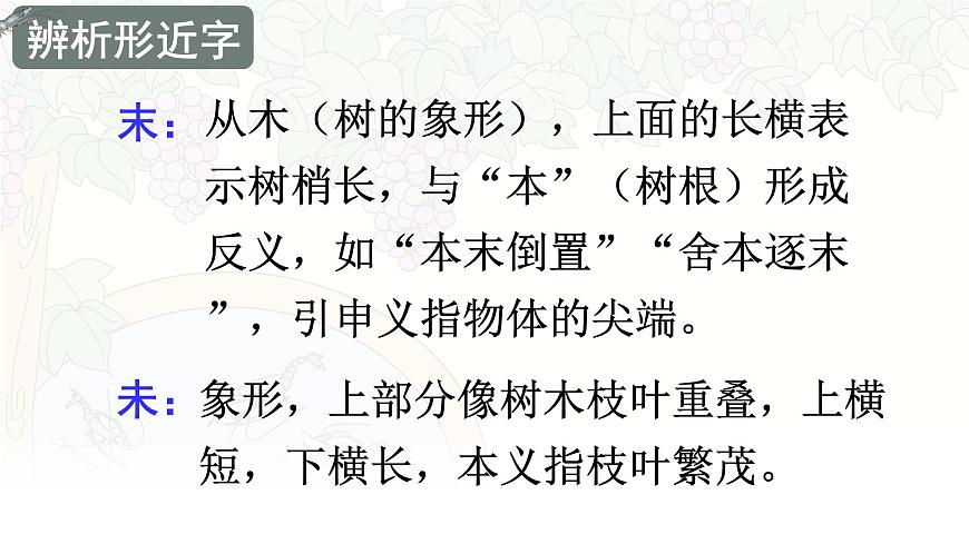 统编版三年级语文下册课件《15 小虾》第7页