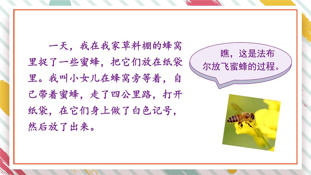 统编版三年级语文下册教学课件《第四单元习作：我做了一项小实验》第7页