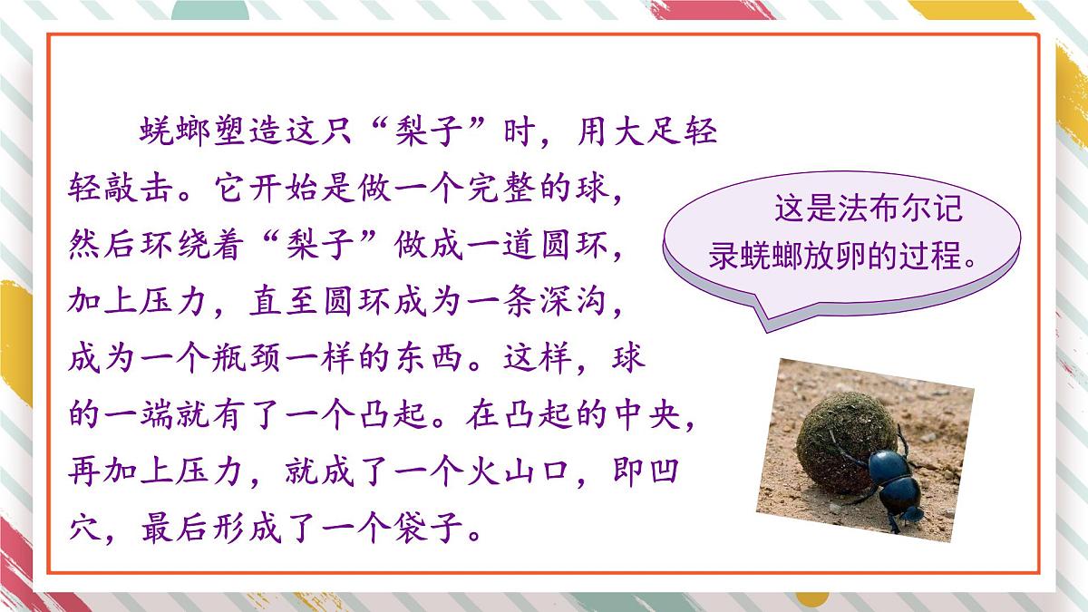 统编版三年级语文下册教学课件《第四单元习作：我做了一项小实验》第8页