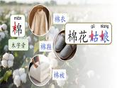 【任務(wù)型】部編版語文一年級下冊 18《棉花姑娘》課件+教案+逐字稿+學習任務(wù)單+音視頻素材