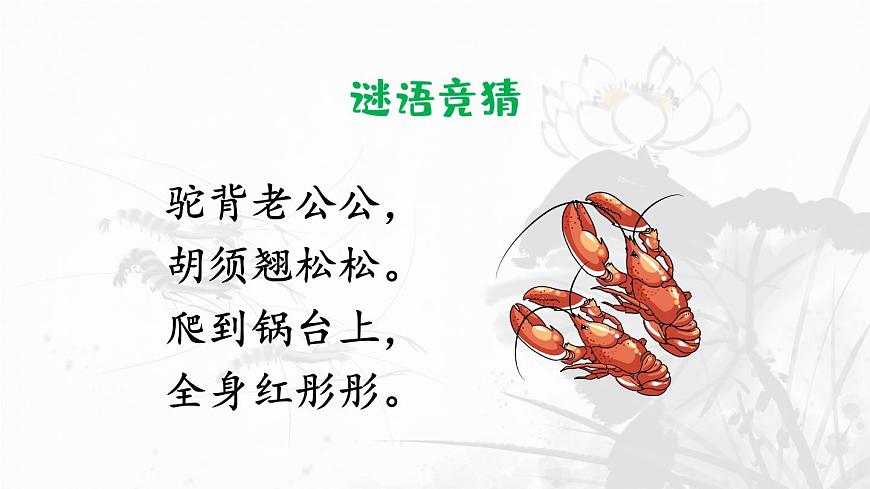 统编版三年级语文下册课件《15 小虾》第1页
