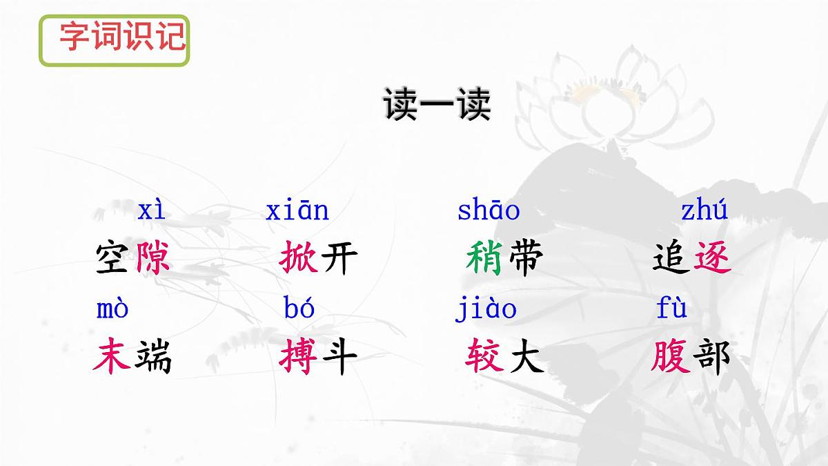 统编版三年级语文下册课件《15 小虾》第4页