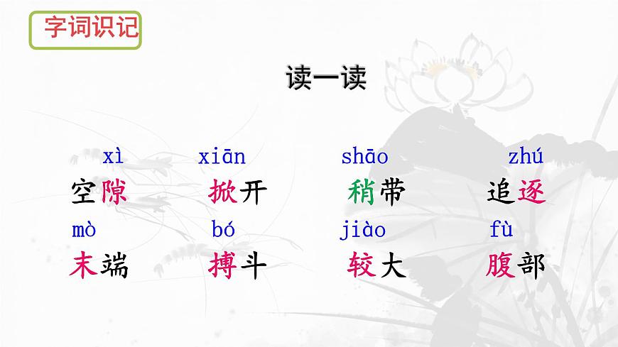 统编版三年级语文下册课件《15 小虾》第4页