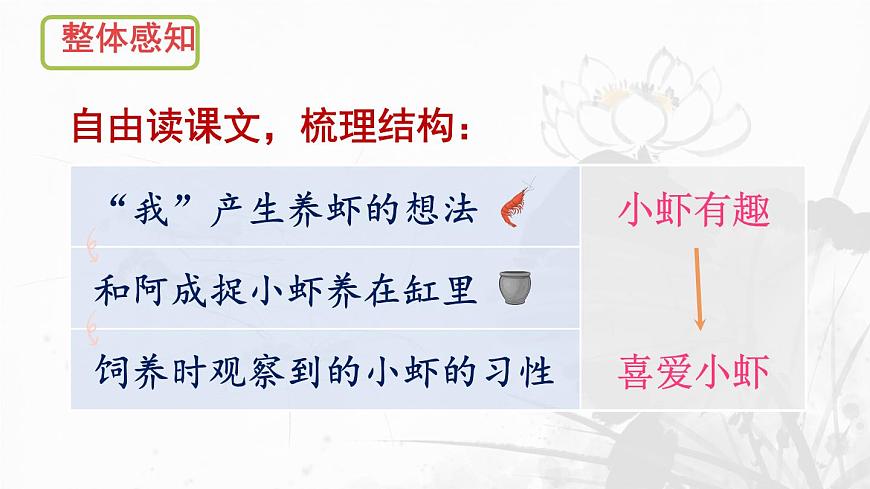 统编版三年级语文下册课件《15 小虾》第6页