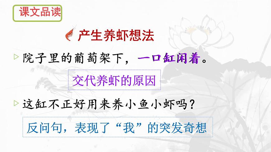 统编版三年级语文下册课件《15 小虾》第7页