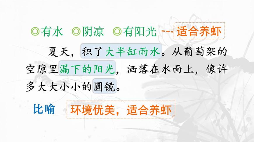 统编版三年级语文下册课件《15 小虾》第8页